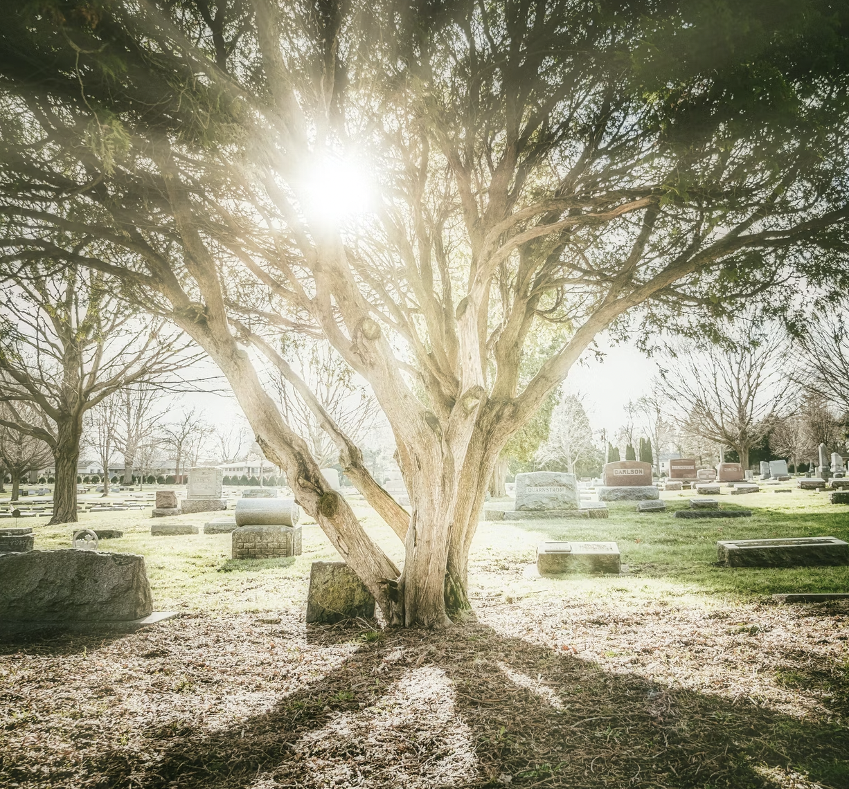 Psychic Mediumship Services