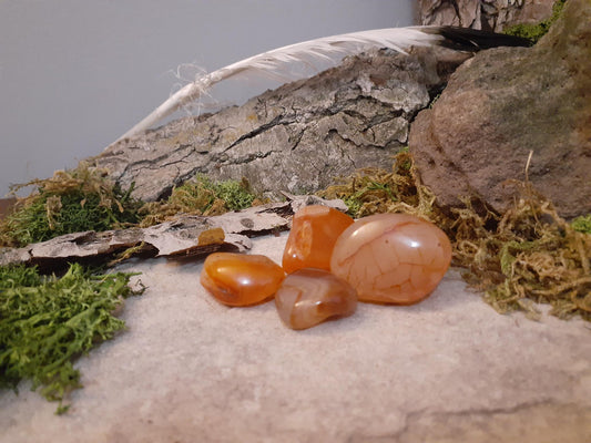 Tumbled Carnelian