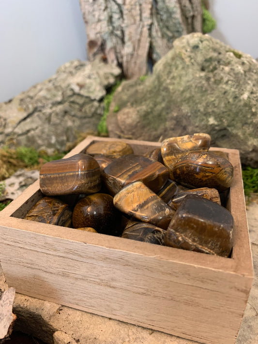 Tumbled Tigers Eye Medium 1" to 1.25"