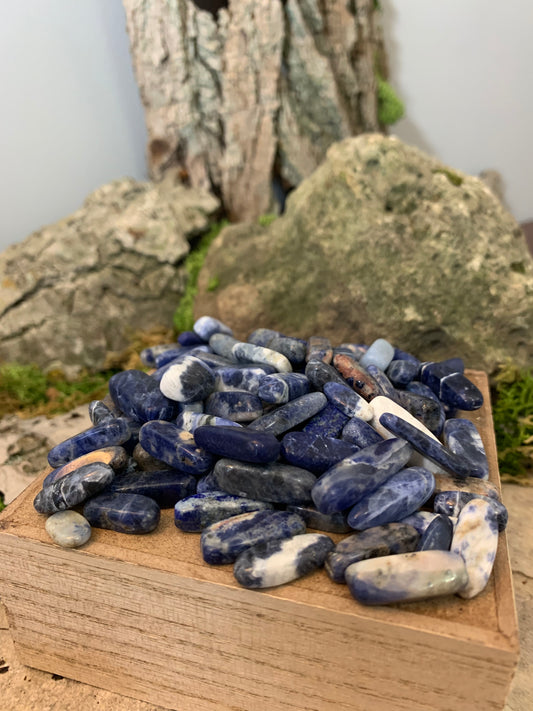 Tumbled Sodalite Pieces